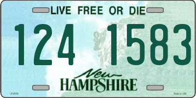 NH license plate 1241583