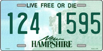 NH license plate 1241595