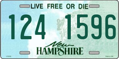 NH license plate 1241596