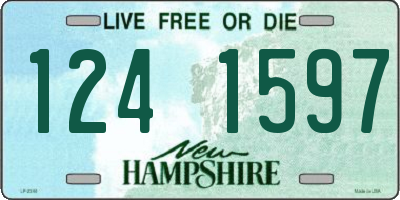 NH license plate 1241597