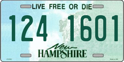 NH license plate 1241601