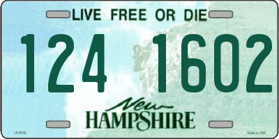 NH license plate 1241602