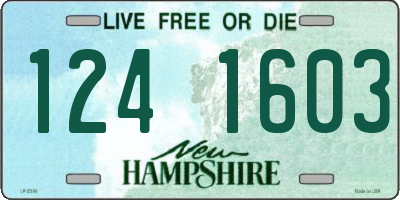 NH license plate 1241603