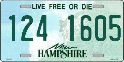 NH license plate 1241605