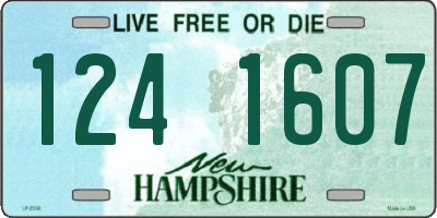 NH license plate 1241607