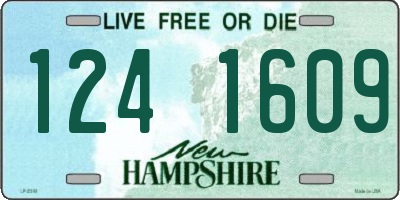 NH license plate 1241609