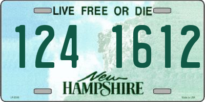 NH license plate 1241612