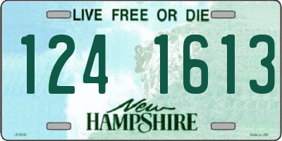 NH license plate 1241613