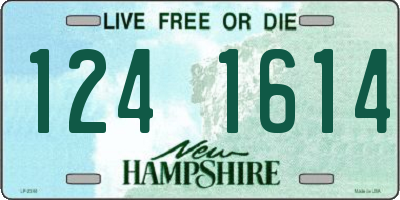 NH license plate 1241614