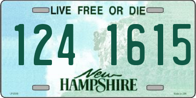 NH license plate 1241615