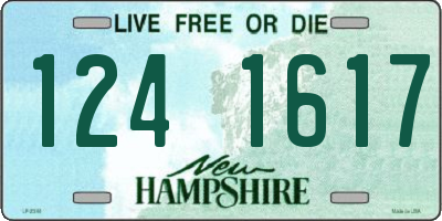 NH license plate 1241617