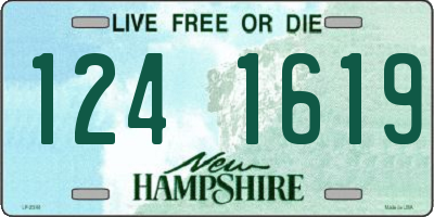 NH license plate 1241619