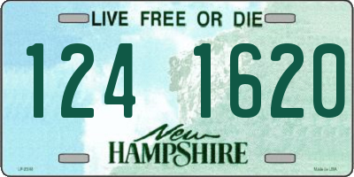 NH license plate 1241620