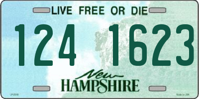 NH license plate 1241623