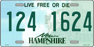 NH license plate 1241624