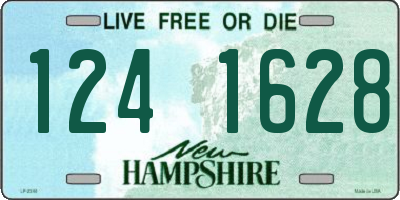 NH license plate 1241628
