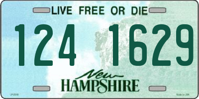 NH license plate 1241629