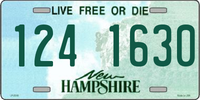 NH license plate 1241630