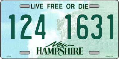 NH license plate 1241631