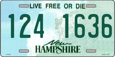 NH license plate 1241636