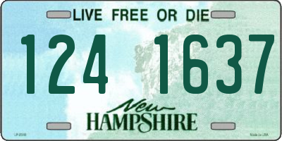 NH license plate 1241637