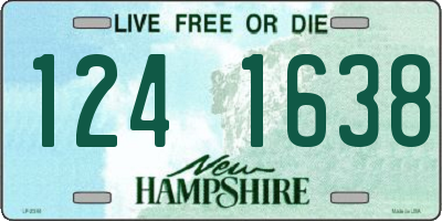 NH license plate 1241638