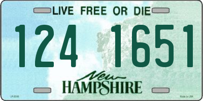 NH license plate 1241651