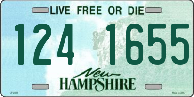 NH license plate 1241655