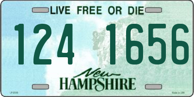 NH license plate 1241656