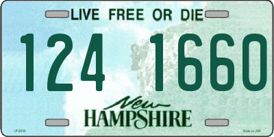 NH license plate 1241660