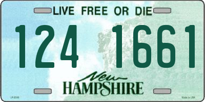 NH license plate 1241661