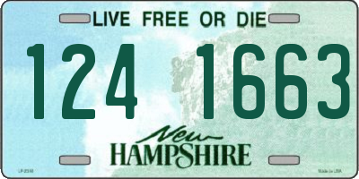 NH license plate 1241663