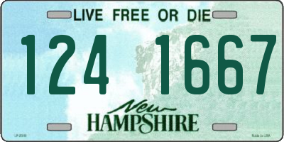 NH license plate 1241667