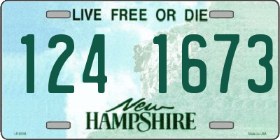 NH license plate 1241673