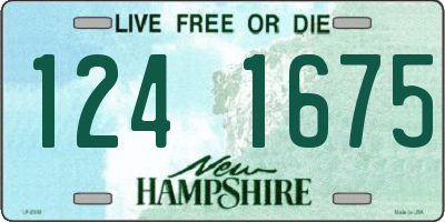 NH license plate 1241675