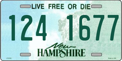 NH license plate 1241677