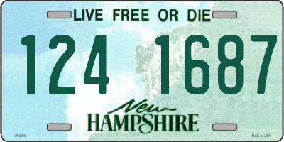 NH license plate 1241687