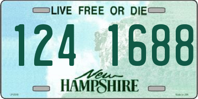 NH license plate 1241688