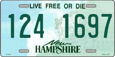 NH license plate 1241697