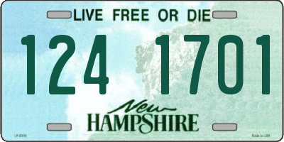 NH license plate 1241701