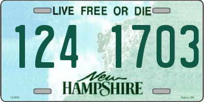 NH license plate 1241703
