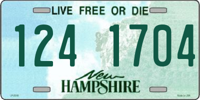 NH license plate 1241704