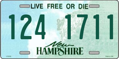 NH license plate 1241711