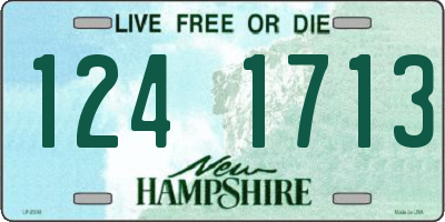 NH license plate 1241713