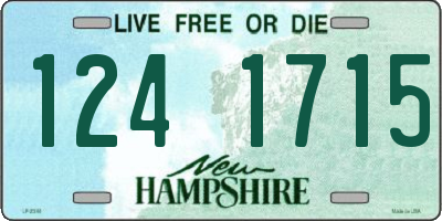 NH license plate 1241715