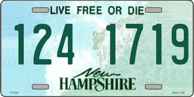 NH license plate 1241719