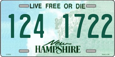 NH license plate 1241722
