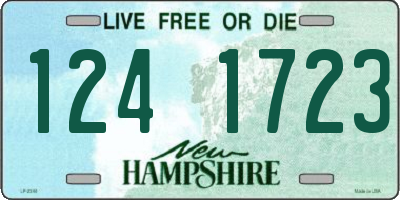 NH license plate 1241723