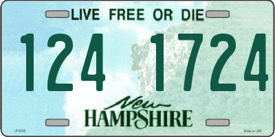 NH license plate 1241724