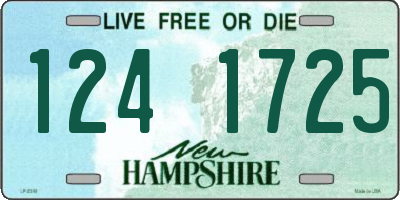 NH license plate 1241725